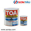 Sơn Toa